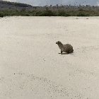 better every loop