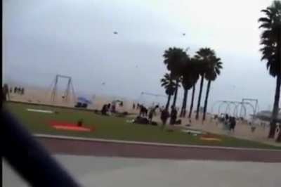 children feed the seagulls