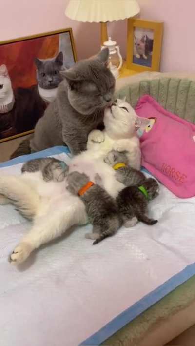 Now that's a Real Family)