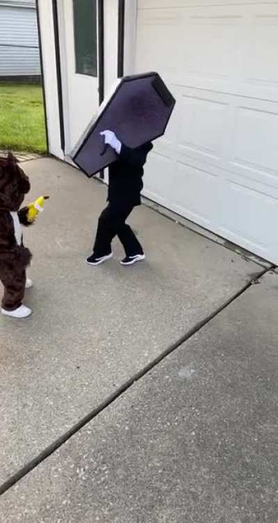 My son wanted to be the “Coffin Dance Guys” for his Halloween costume