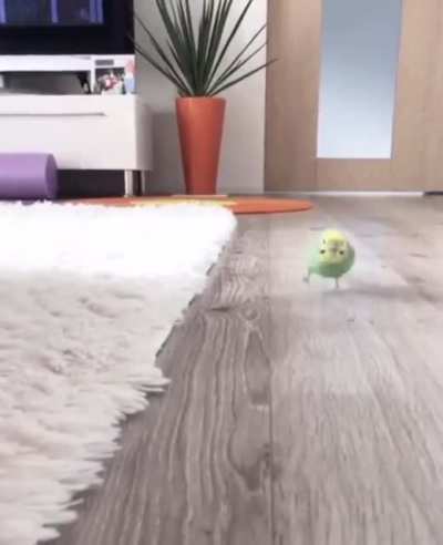 Respect ✊