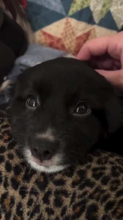 Them eyes?