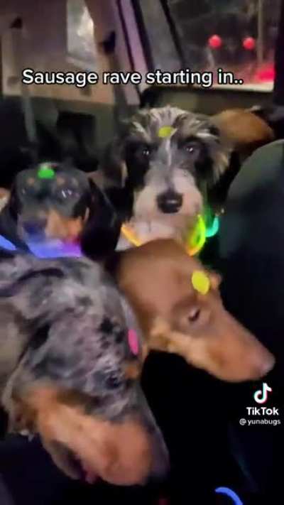 Weenie Car Wash Rave