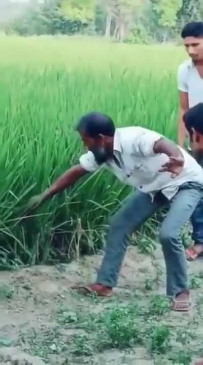Maybe maybe maybe