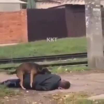 Bro wtf is going on ?