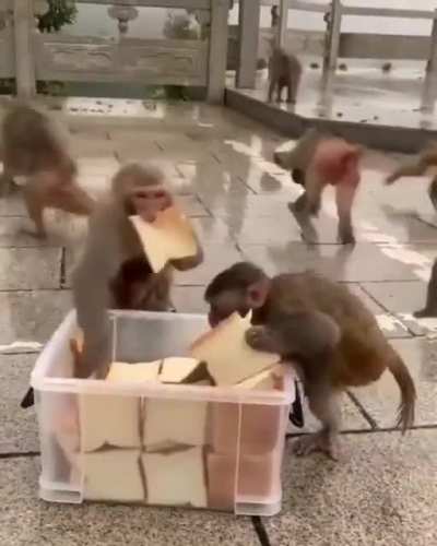 When I open a packet of chips