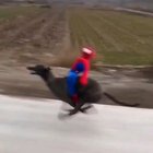 Giddy Up Cowboy! ???