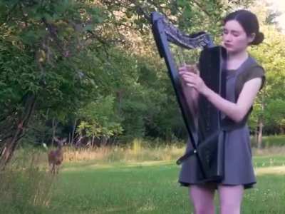 A wild deer gets curious hearing a woman playing "The Sound Of Silence" on a harp.