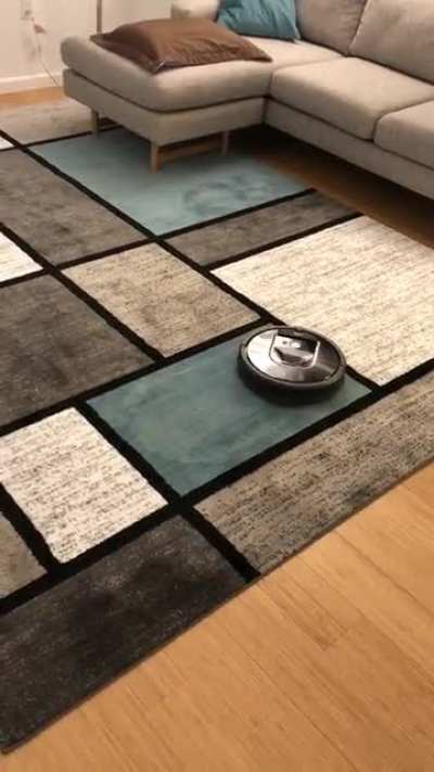 Roombas can't tell the difference between black lines and cliffs (from @dimakrotov on twitter)