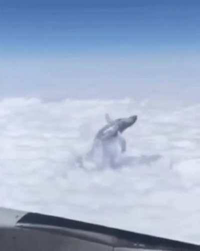 High above the...
