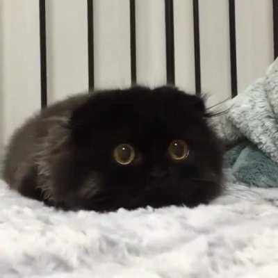 Her eyes ?