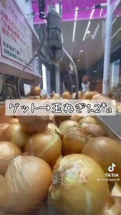 There are no subtitles but you won’t really need them