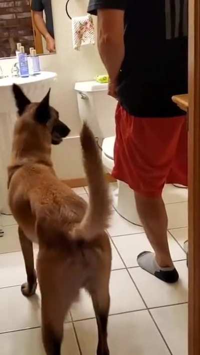 Guide dog helps blind people use toilet