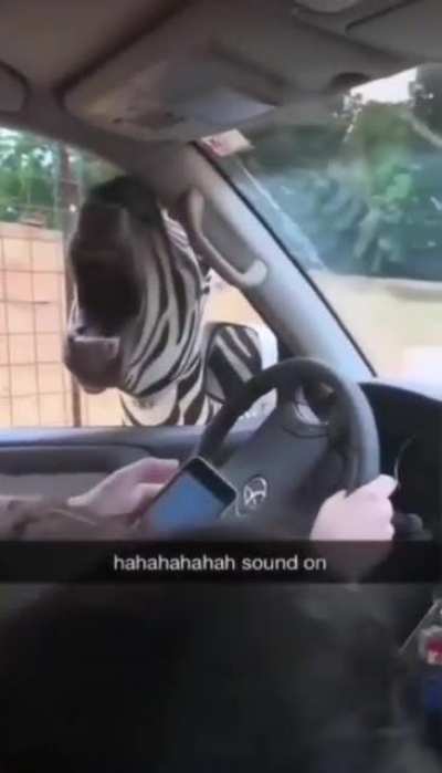 "Oh we screaming?"