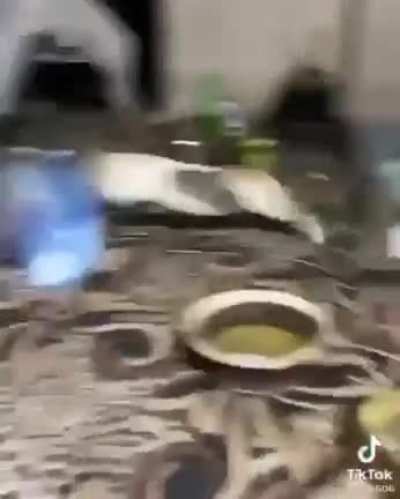 Cat's in - Human out.