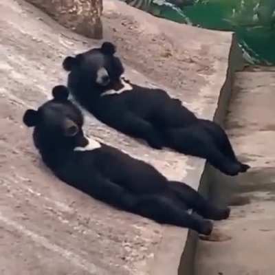 sup