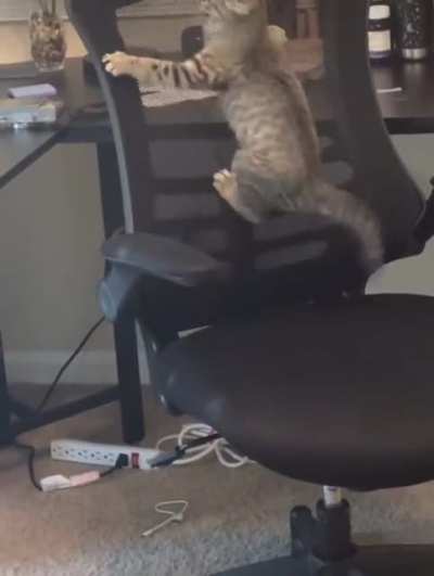 Work Hard, Derp Harder.