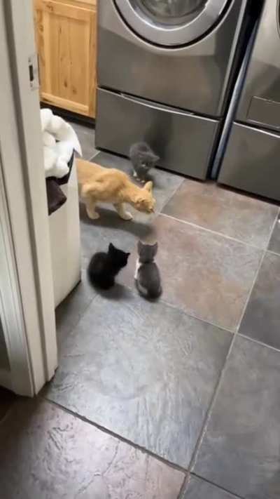 Adult barely escapes narrow alley full of smol gang of criminals.