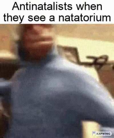 ora ora ora