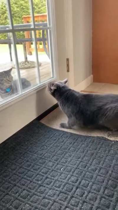 We don’t like visitors here ??‍♀️