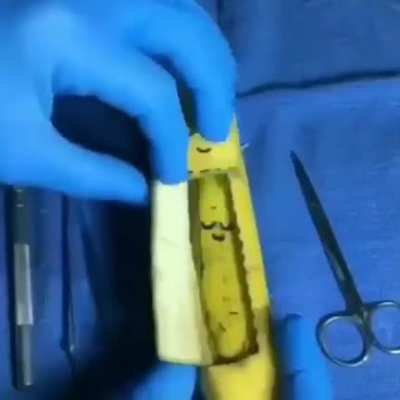 Little Banana Family!