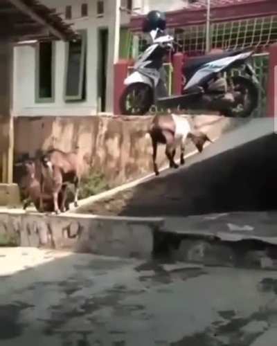 Enjoy the life while you can