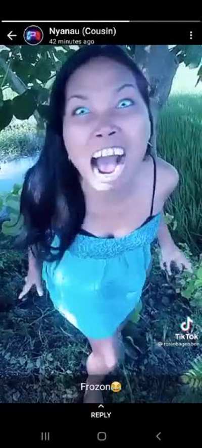 Found this TikTok video on my cousin's WhatsApp status (this is a screen recording)