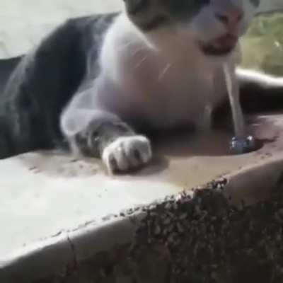 so thirsty ?