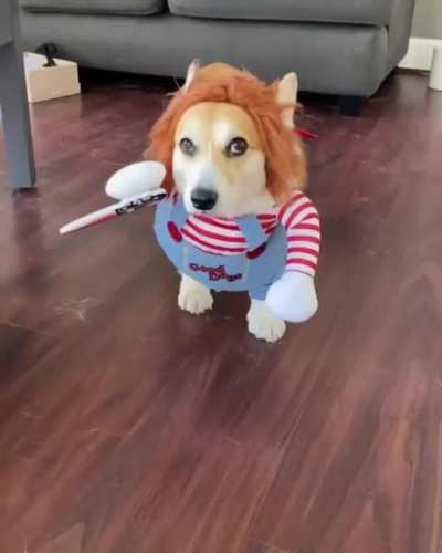 Happy spooktober!