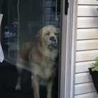 He wants out so bad