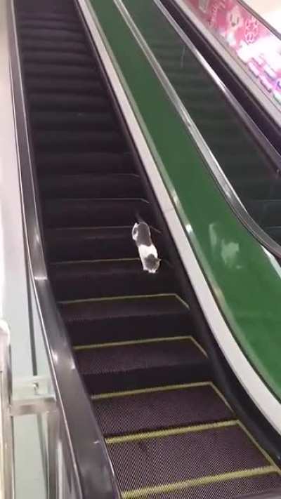 To get to the next floor down