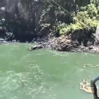 Insane bungeejump