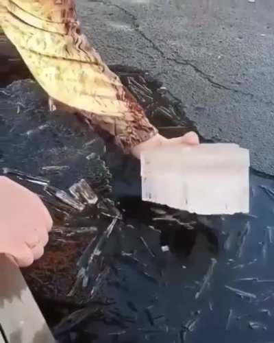 As a heart made from ice ?