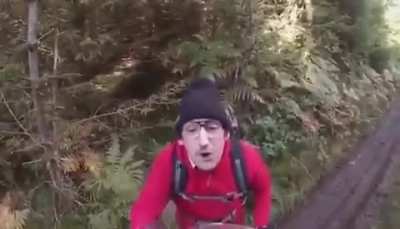No motorcycles in the forest!