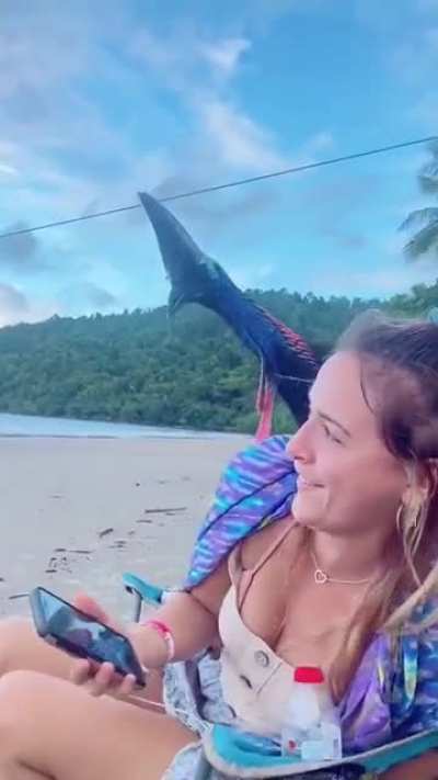 ? Day at the beach interrupted by a curious dinosaur
