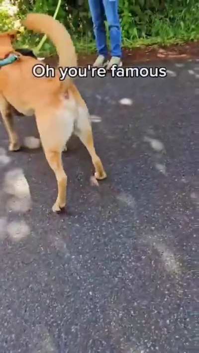 Nice stick