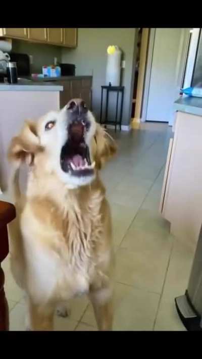 he tried so hard