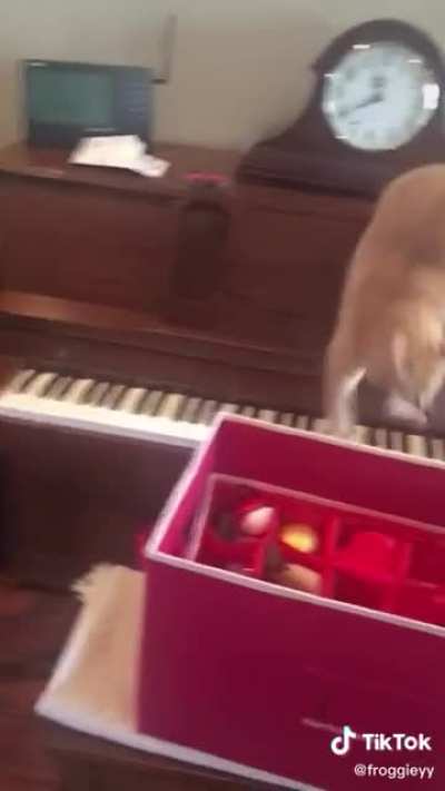 Maybe Maybe Maybe