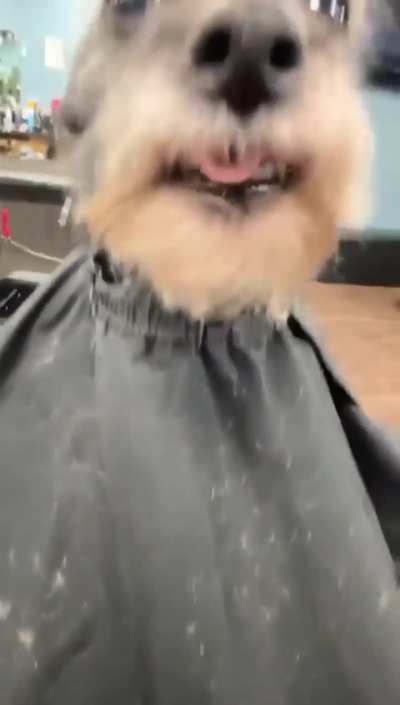 This guy always gives the best haircuts