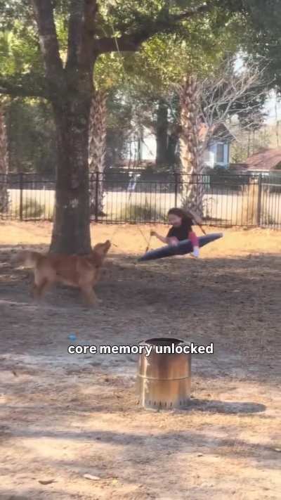 His favourite game is pulling that rope cause it make his human smile too