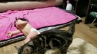 Headbutt