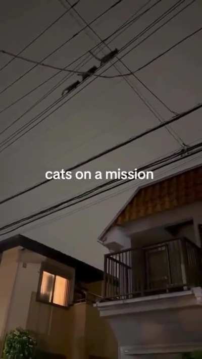 Spies