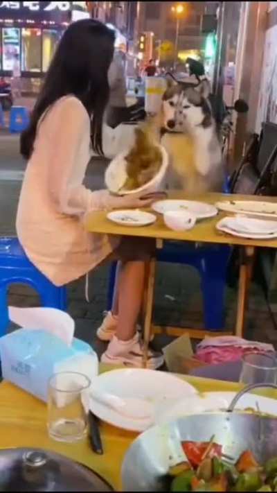 Real jerks don't bite