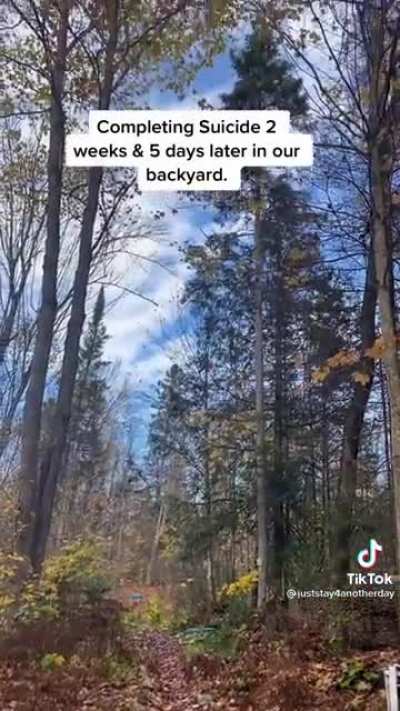 More grief tiktok