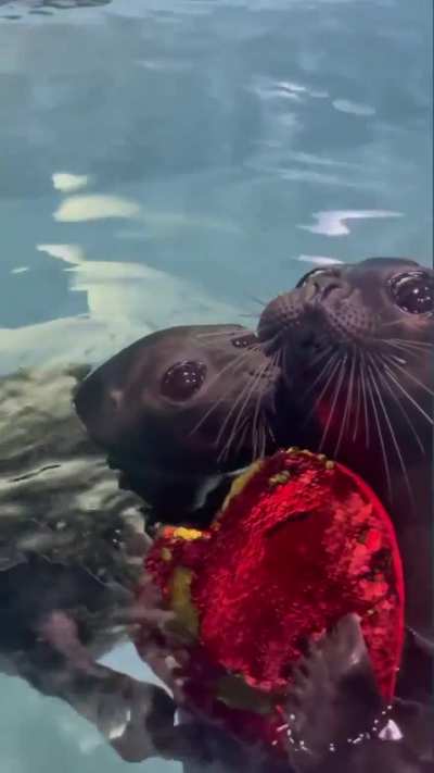 Eternal love