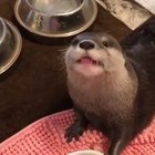 Aww!! it's So Cute!!