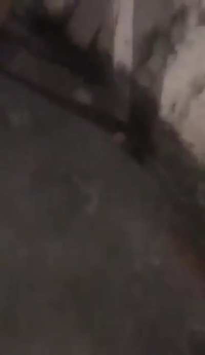Oh shit