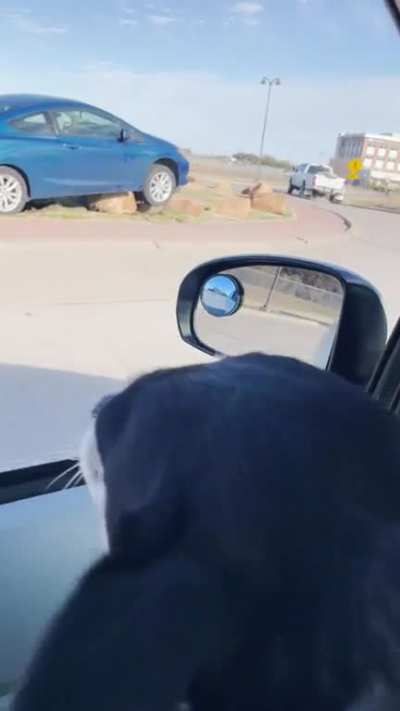 to drive like a rockstar.