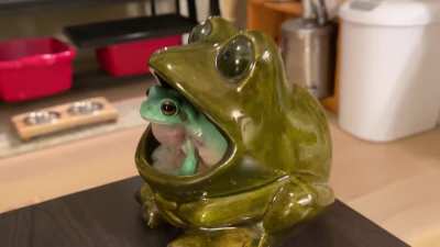 Jam sesh’ with my dude, IronFrog - TURN IT UP ??????