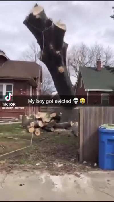 Eviction